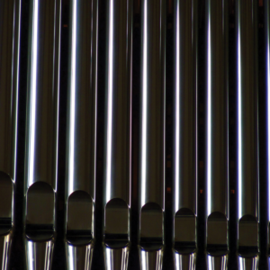 Cello 8 | C - H